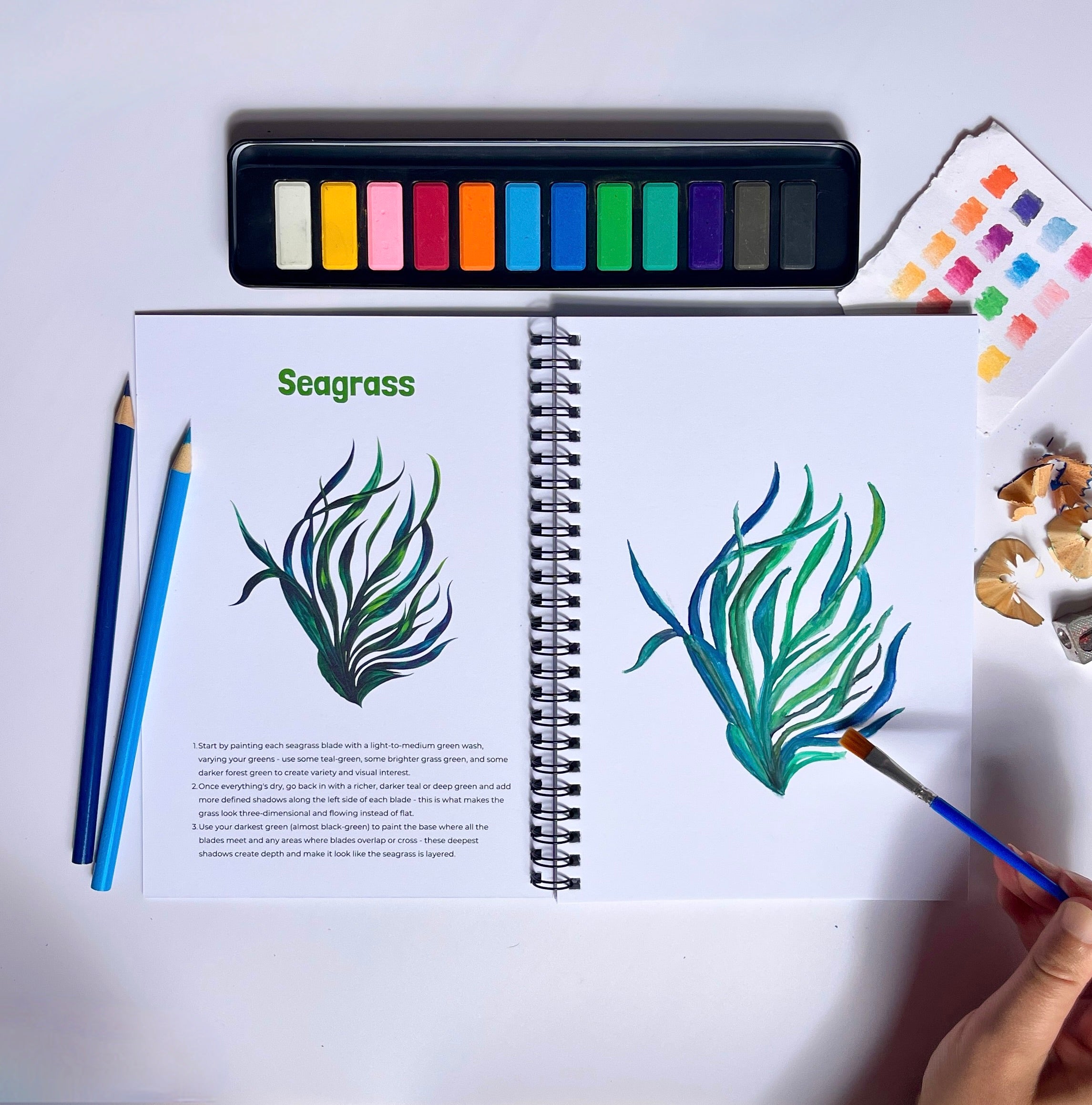 The Ocean Watercolour Kit