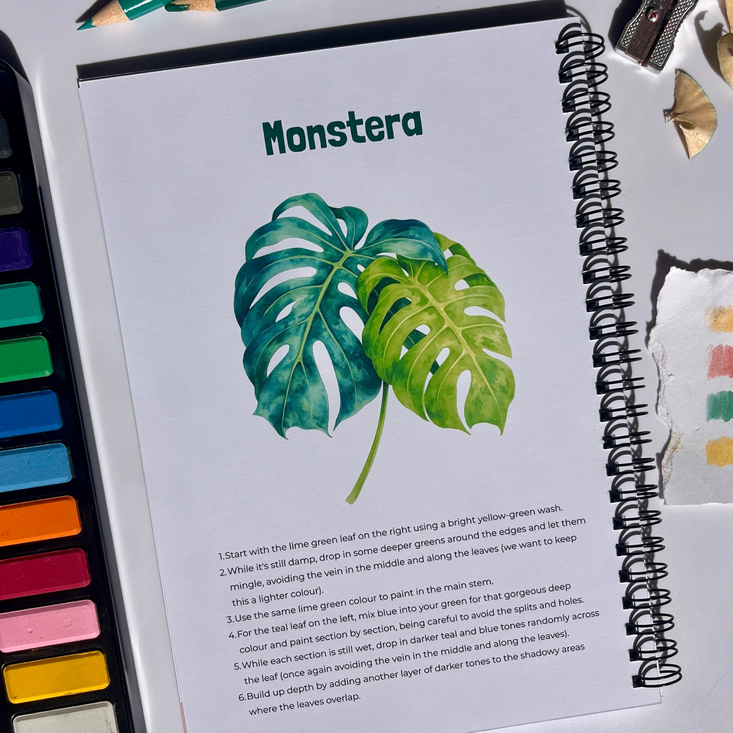 Houseplants Watercolour Book