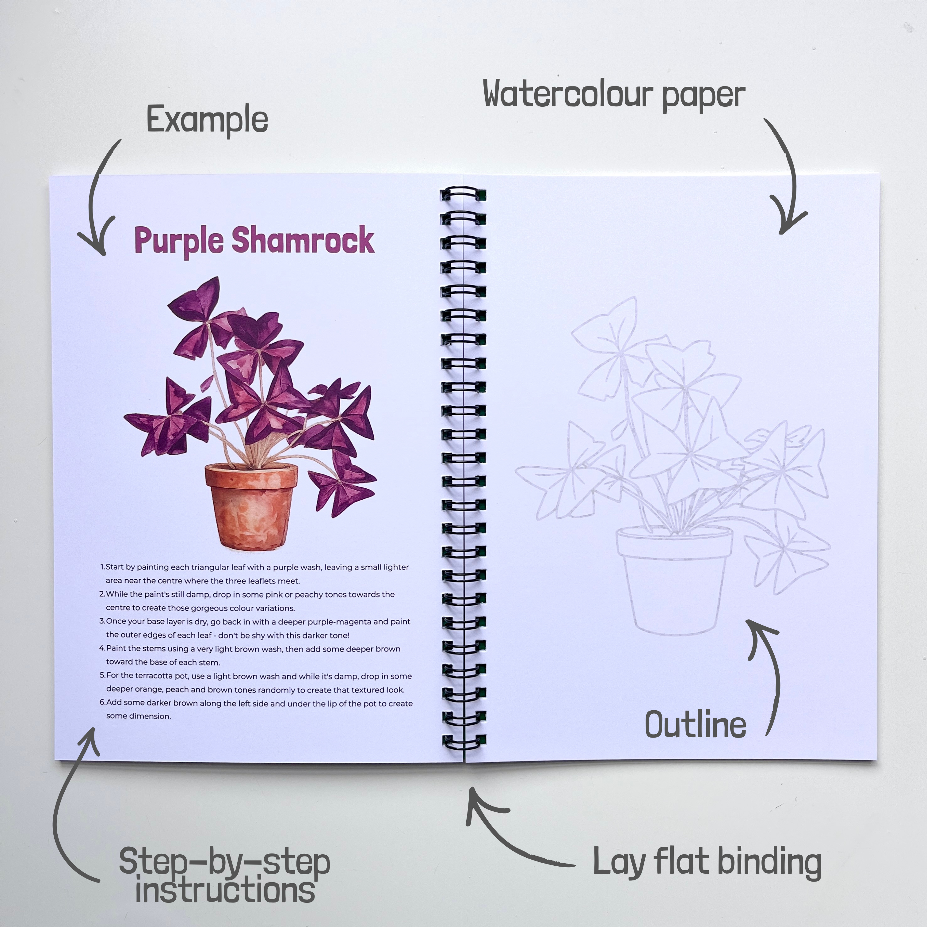 Houseplants Watercolour Book